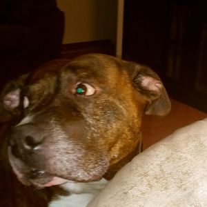 Meet your Posher, Sonya